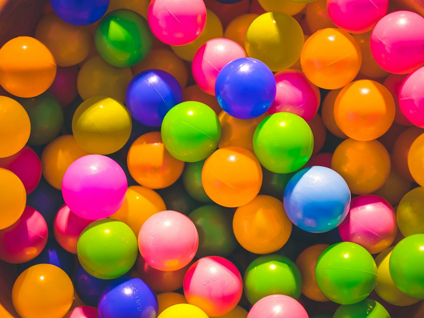 FleepFly’s E-Goodies: Fun for Everyone